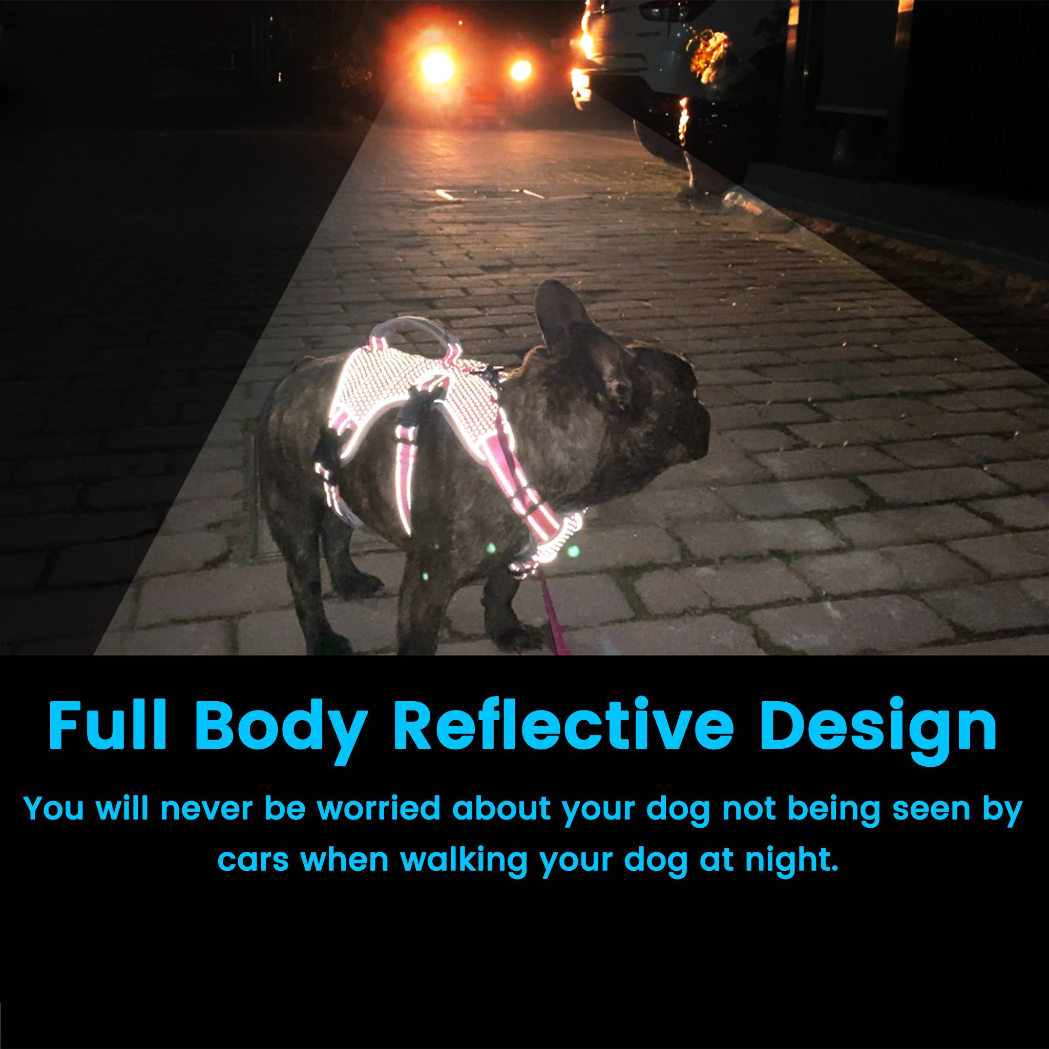 Reflective Dog Harness