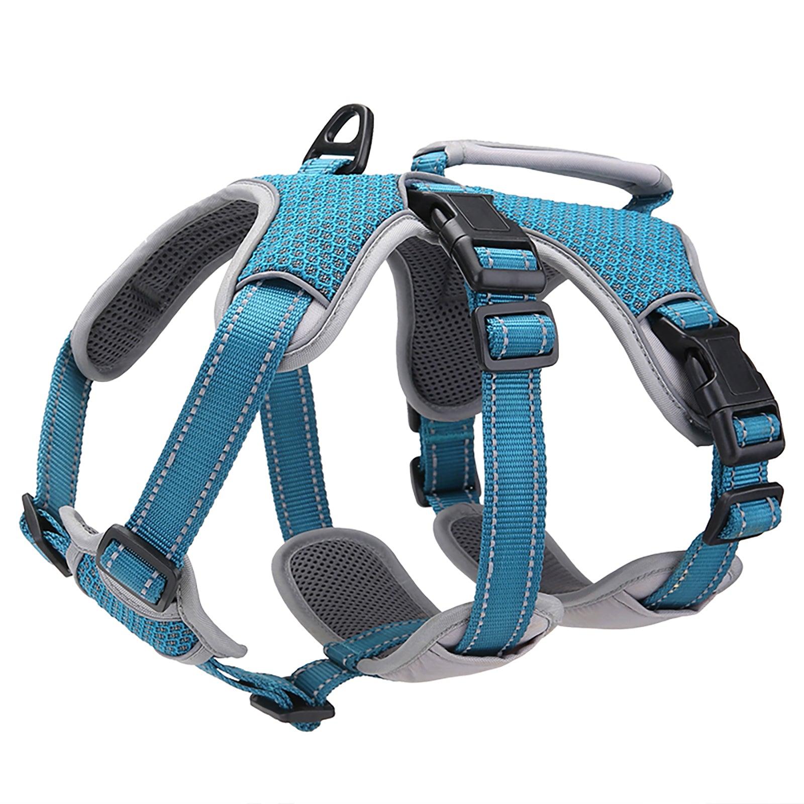 blue escape proof harness for dog
