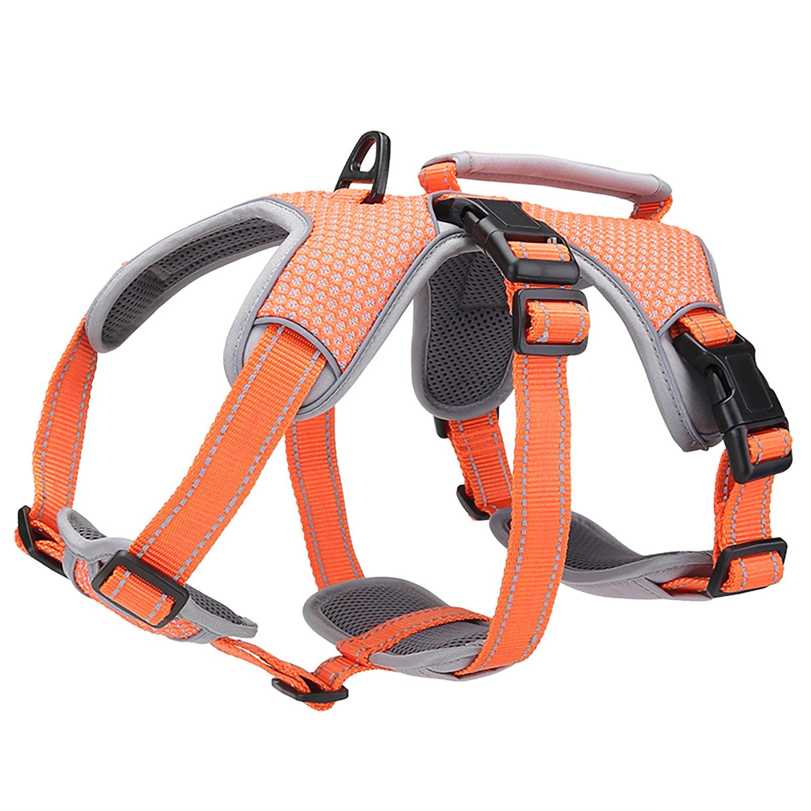 orange dog harness for sensitive dogs